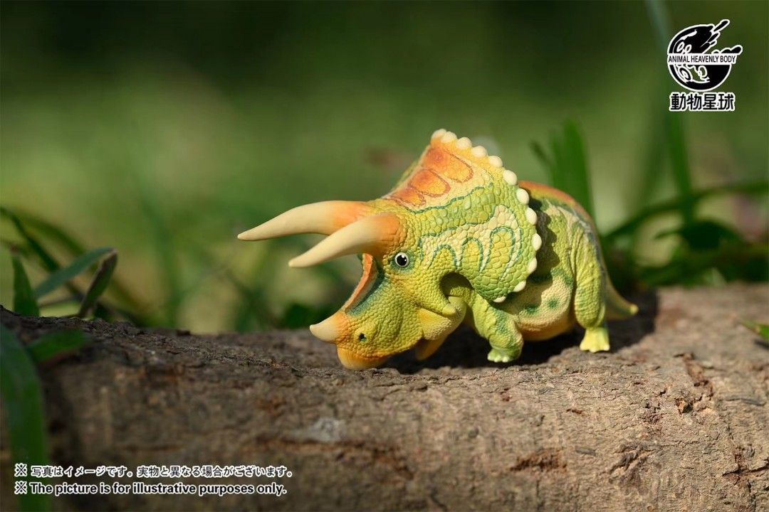 Round Paleontology Series Blind Box (First Edition)