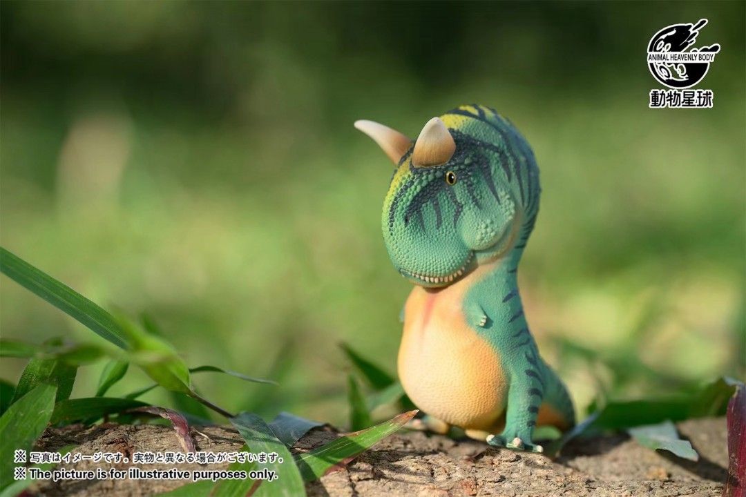 Round Paleontology Series Blind Box (First Edition)