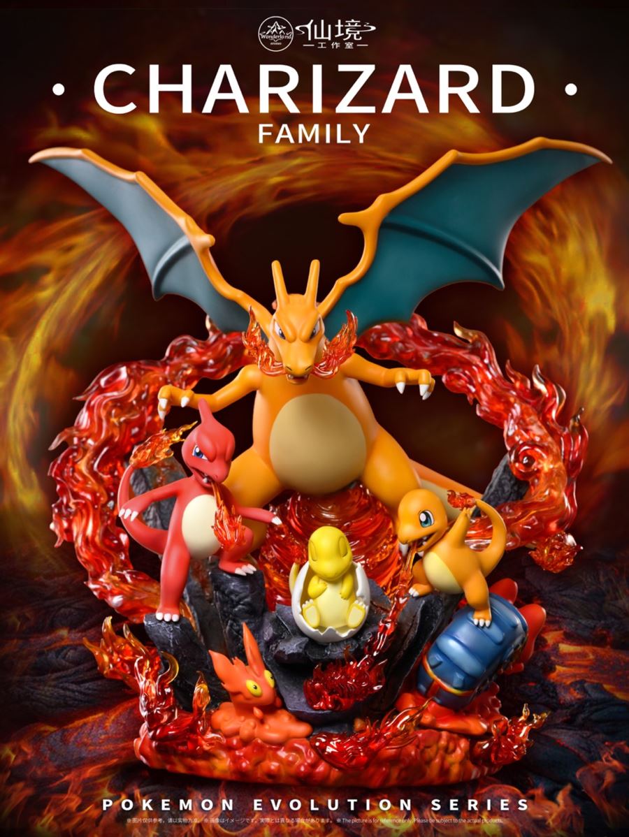 Charizard family - Pokemon