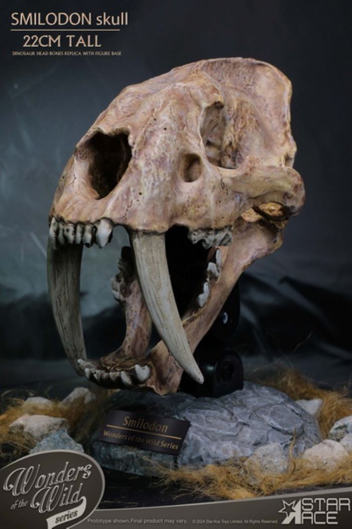 Wonder Wild Series - Sabre-toothed Tiger Skull Fossil Statue