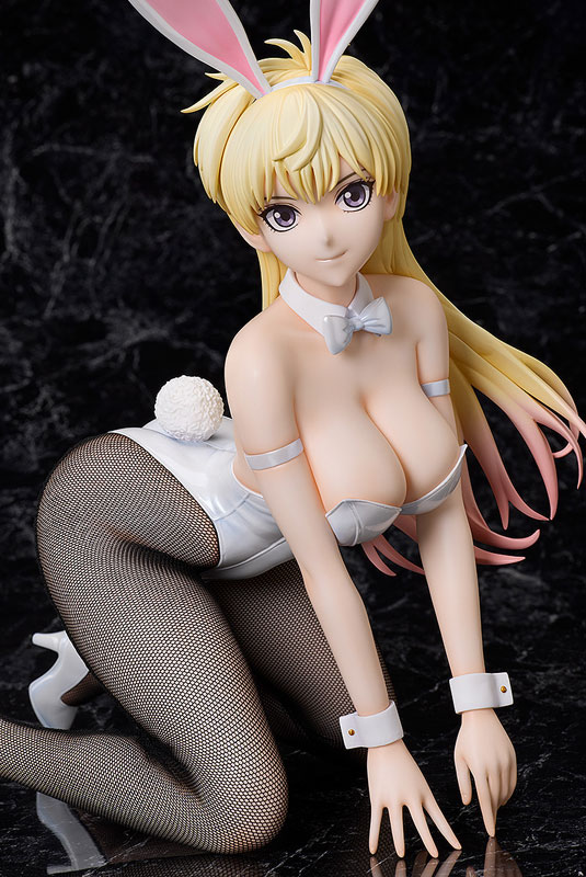 Bastard!! -Heavy Metal, Dark Fantasy- Sean Ari Bunny Ver. 1/4