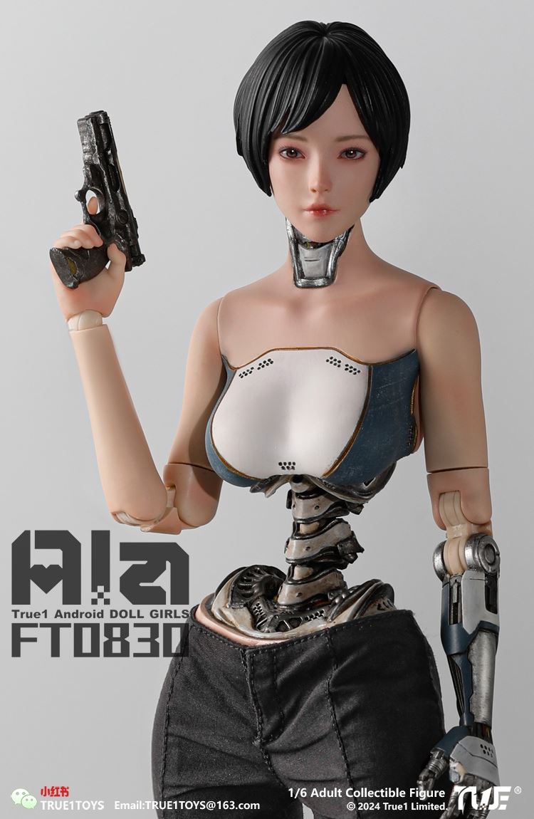 Android Ala 1/6