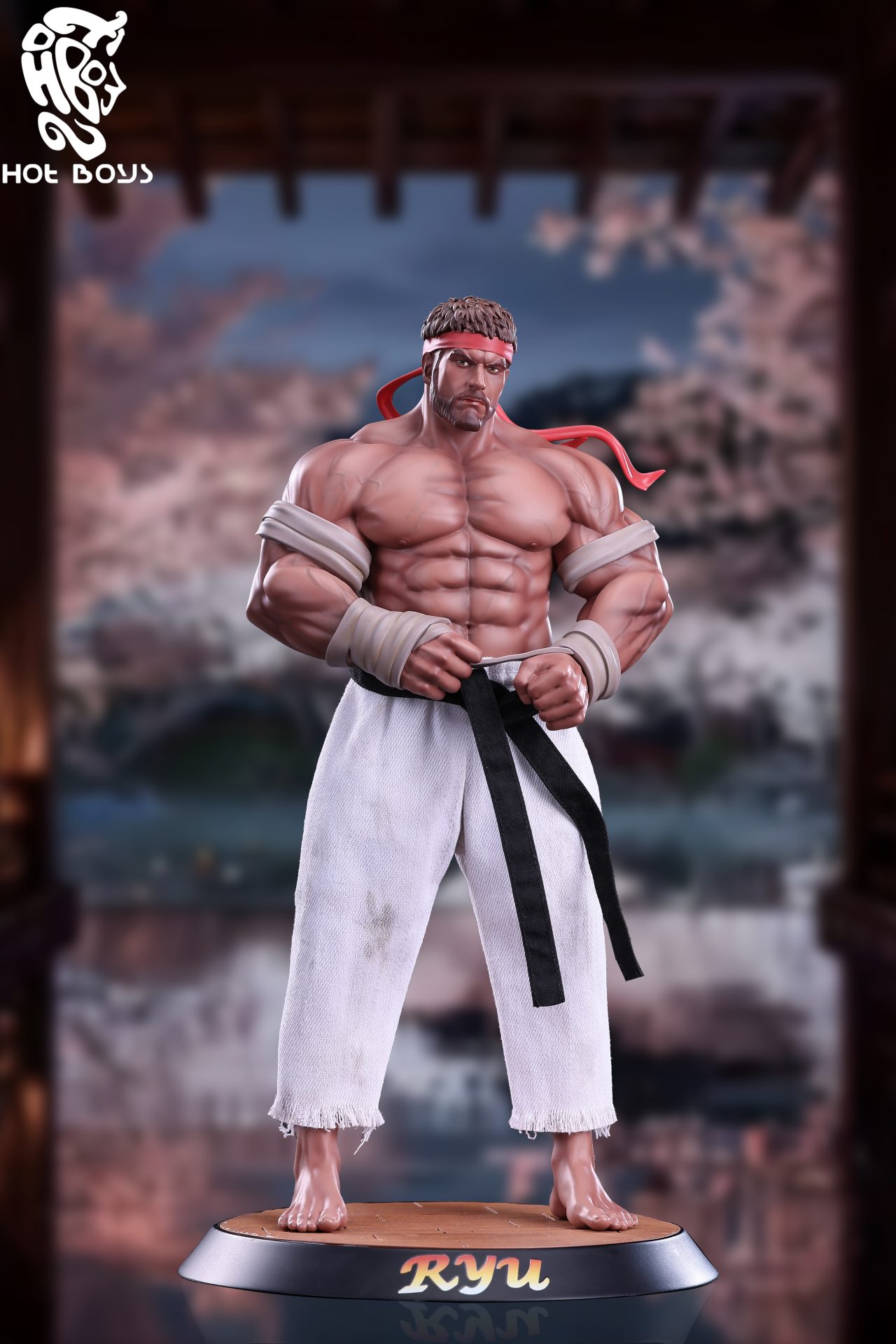 Street Fighter Martial Arts Duel Ryu 1/6