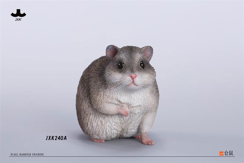 Hamster A 1/1