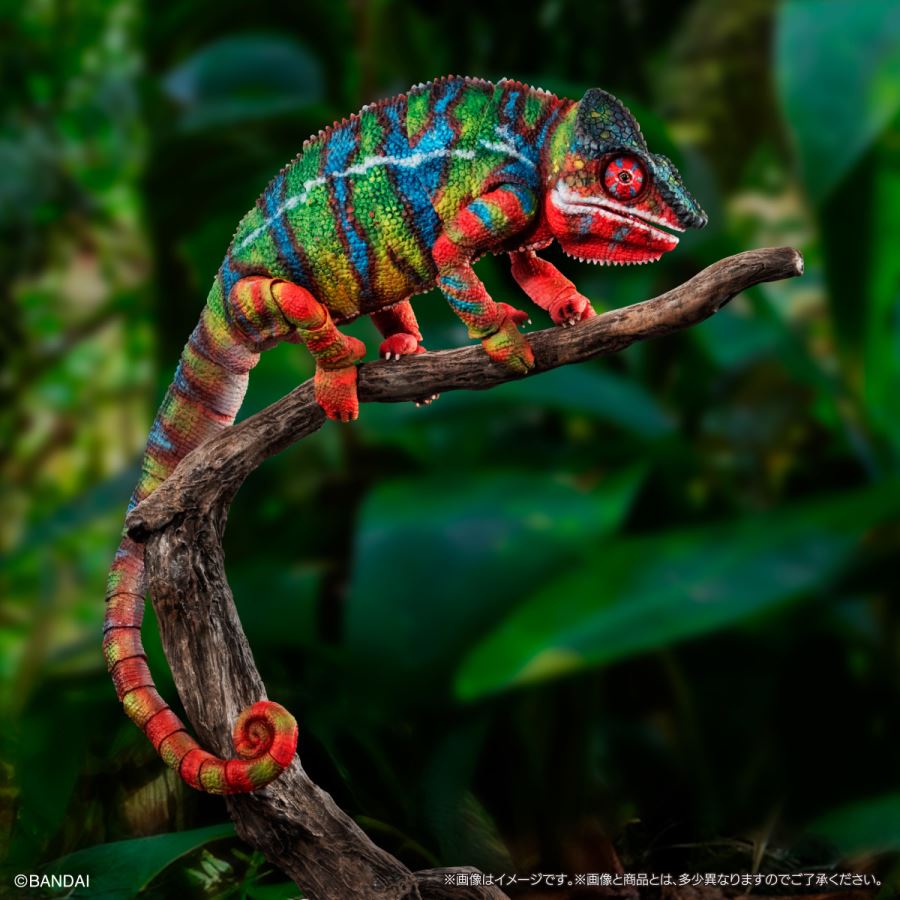 Living Creatures Encyclopedia Premium Panther Chameleon (Ambirove Green)