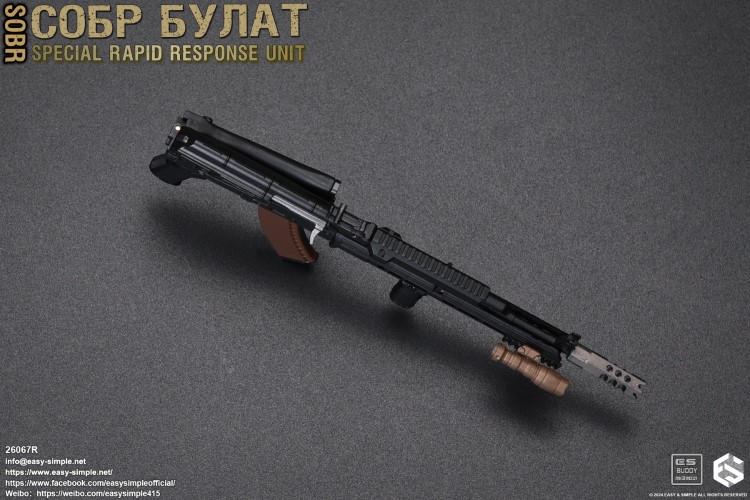 Russian National Guard Special Rapid Response Team 1/6