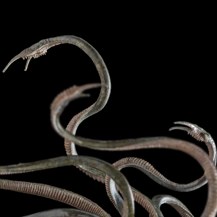 The Lord of the Rings - Watcher in the Water