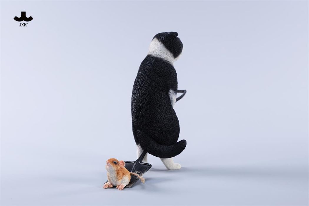 Folded Eared Cat 1/6