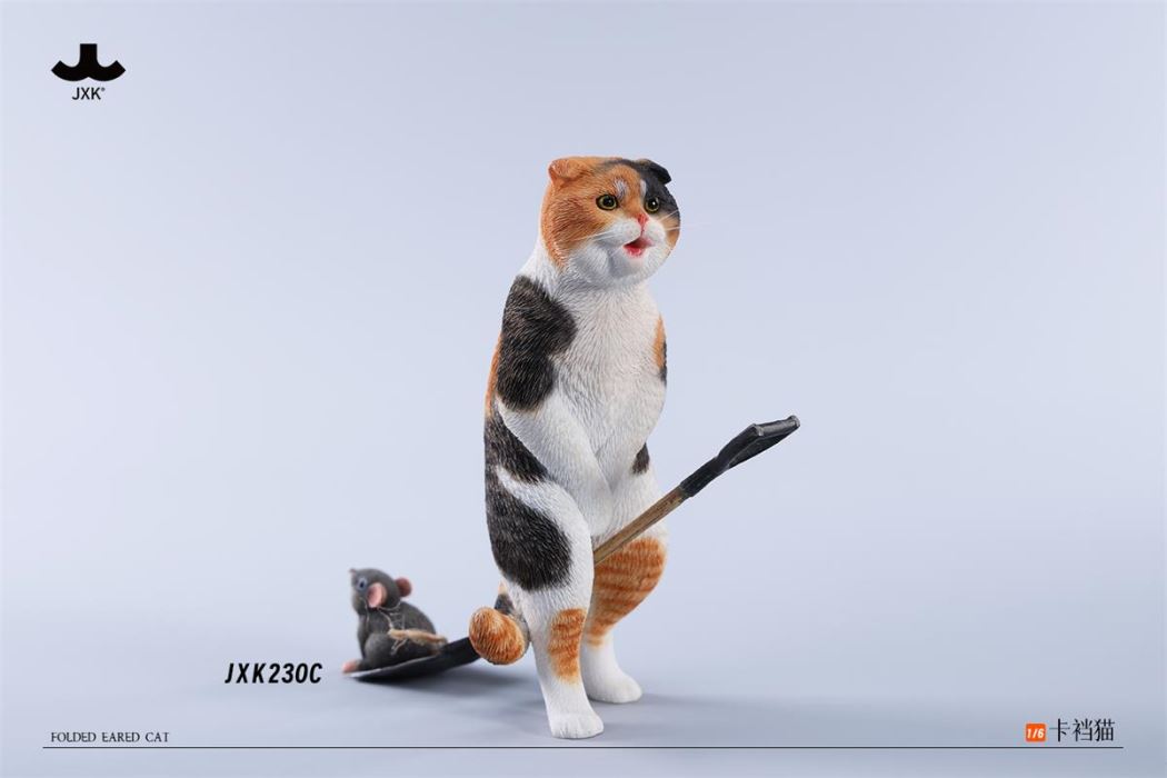 Folded Eared Cat 1/6