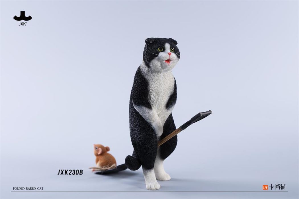 Folded Eared Cat 1/6