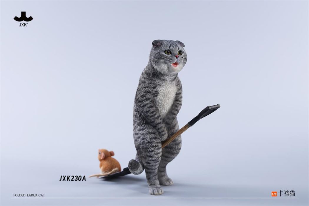 Folded Eared Cat 1/6