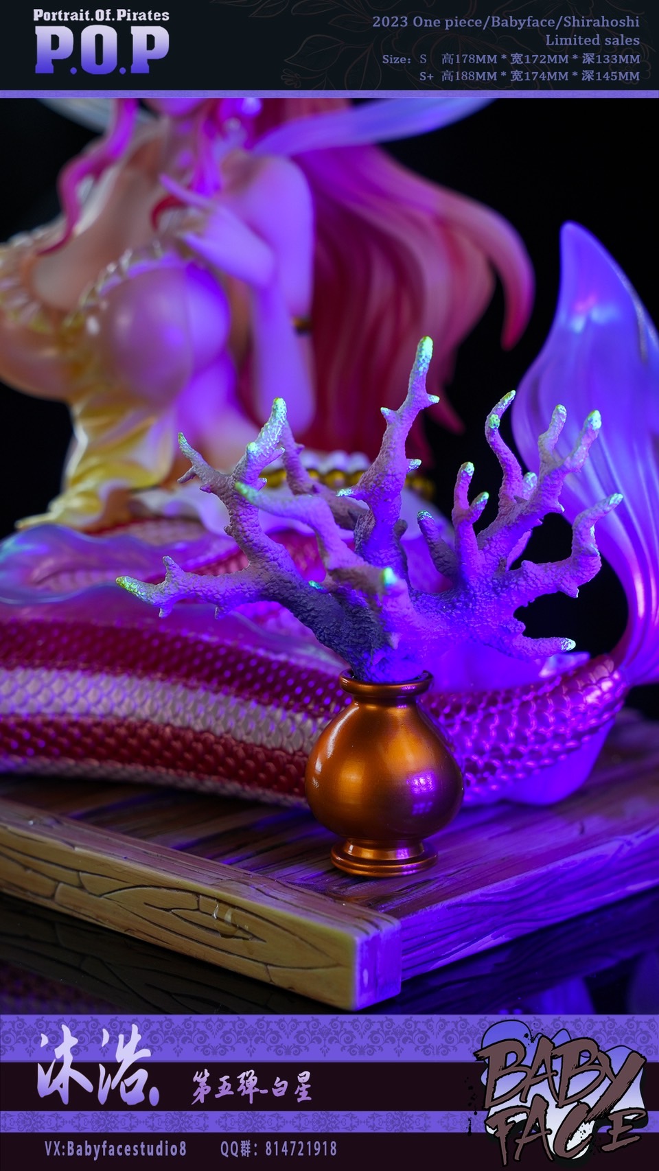 Princess Shirahoshi - One piece