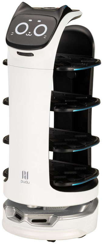 BellaBot Plastic Model