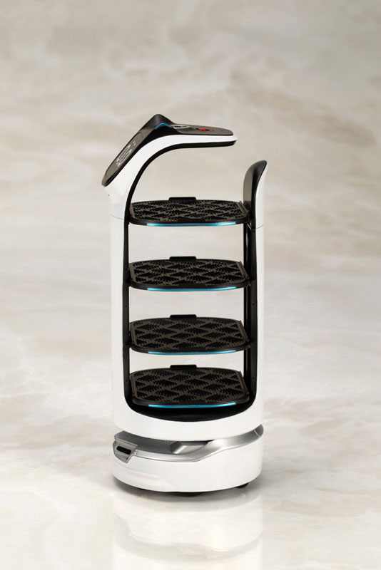 BellaBot Plastic Model