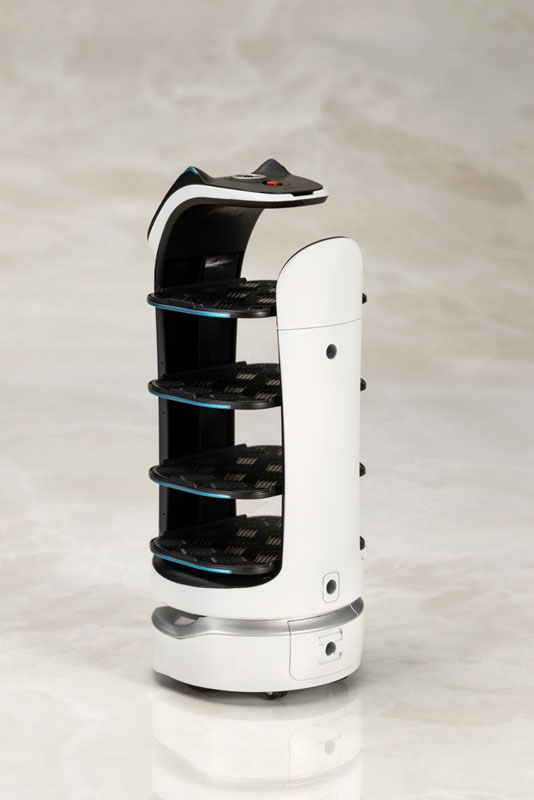 BellaBot Plastic Model