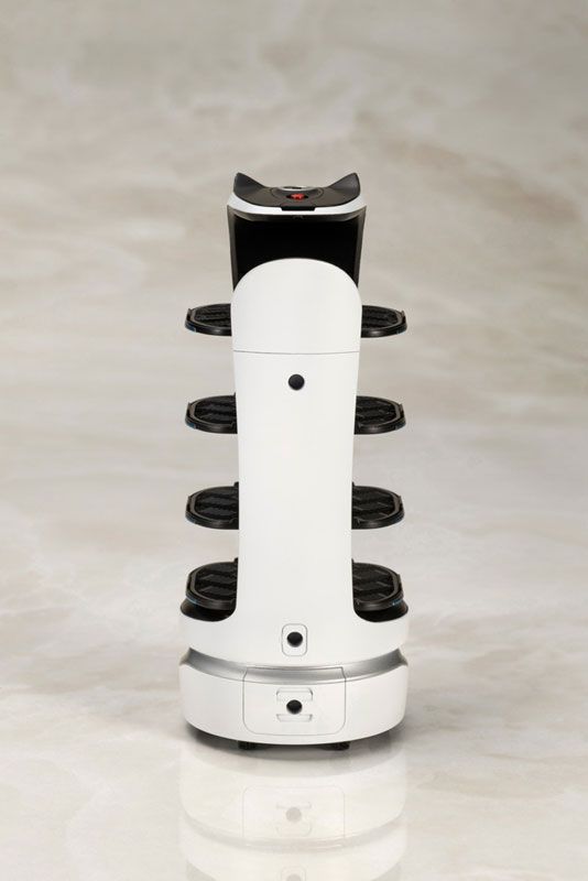 BellaBot Plastic Model