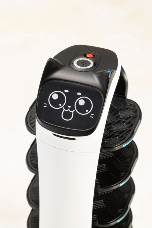 BellaBot Plastic Model