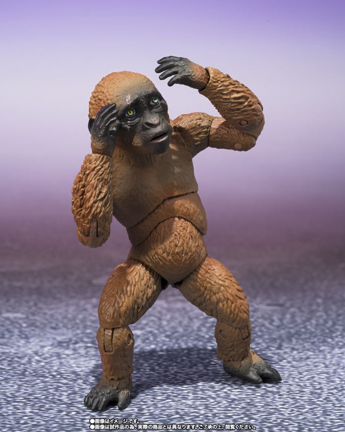 SHMonsterArts SUKO & MOTHRA