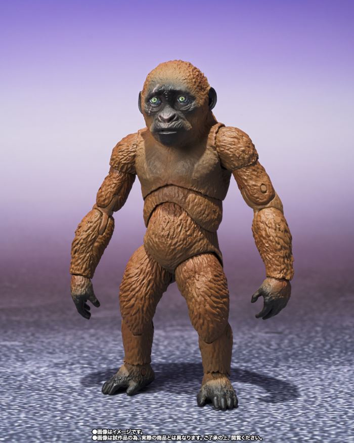 SHMonsterArts SUKO & MOTHRA