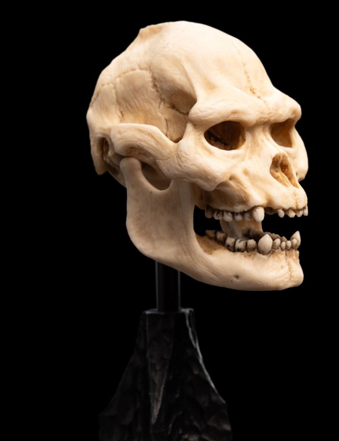 SKULL OF LURTZ Miniature Skull
