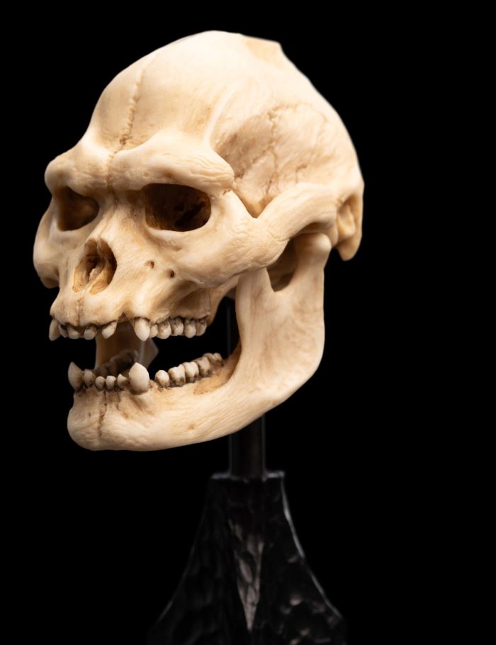 SKULL OF LURTZ Miniature Skull