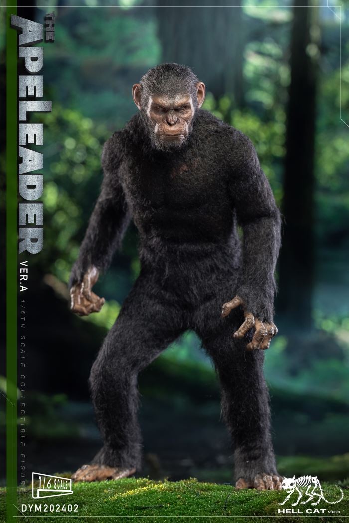 Ape Leader 1/6