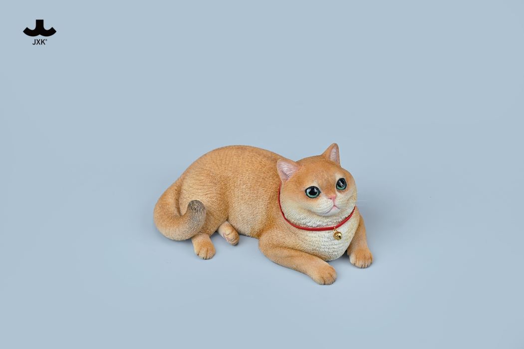 British Shorthair Cat 1/3