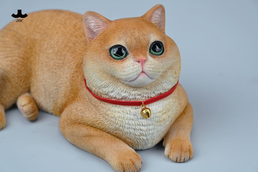 British Shorthair Cat 1/3