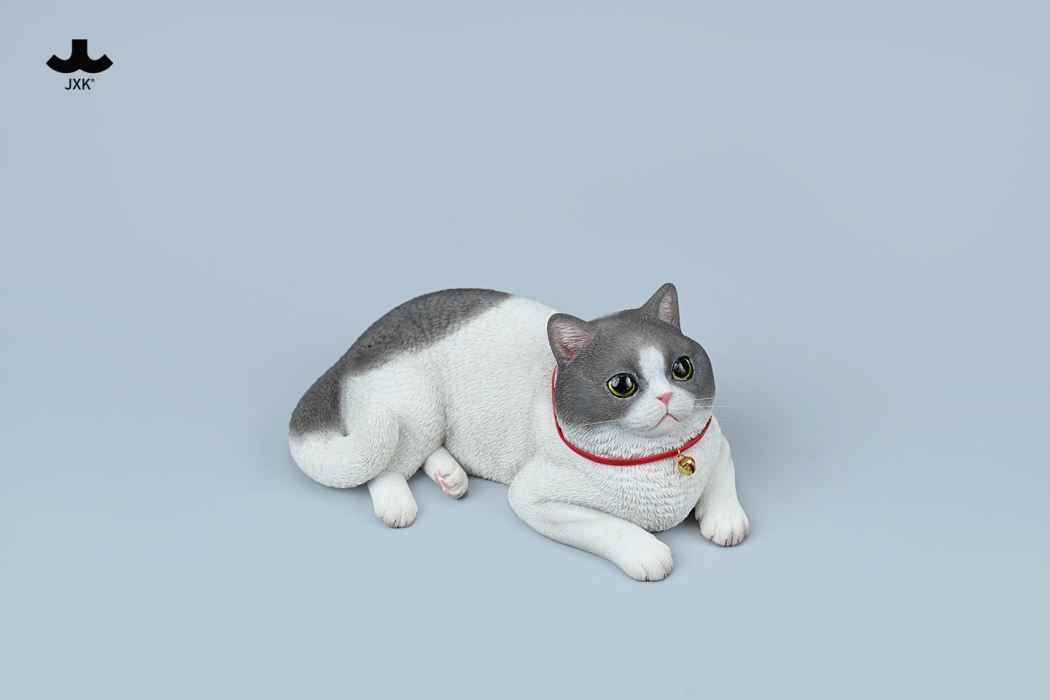 British Shorthair Cat 1/3