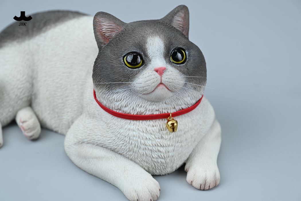 British Shorthair Cat 1/3