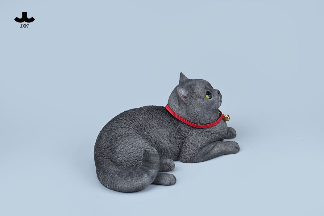 British Shorthair Cat 1/3
