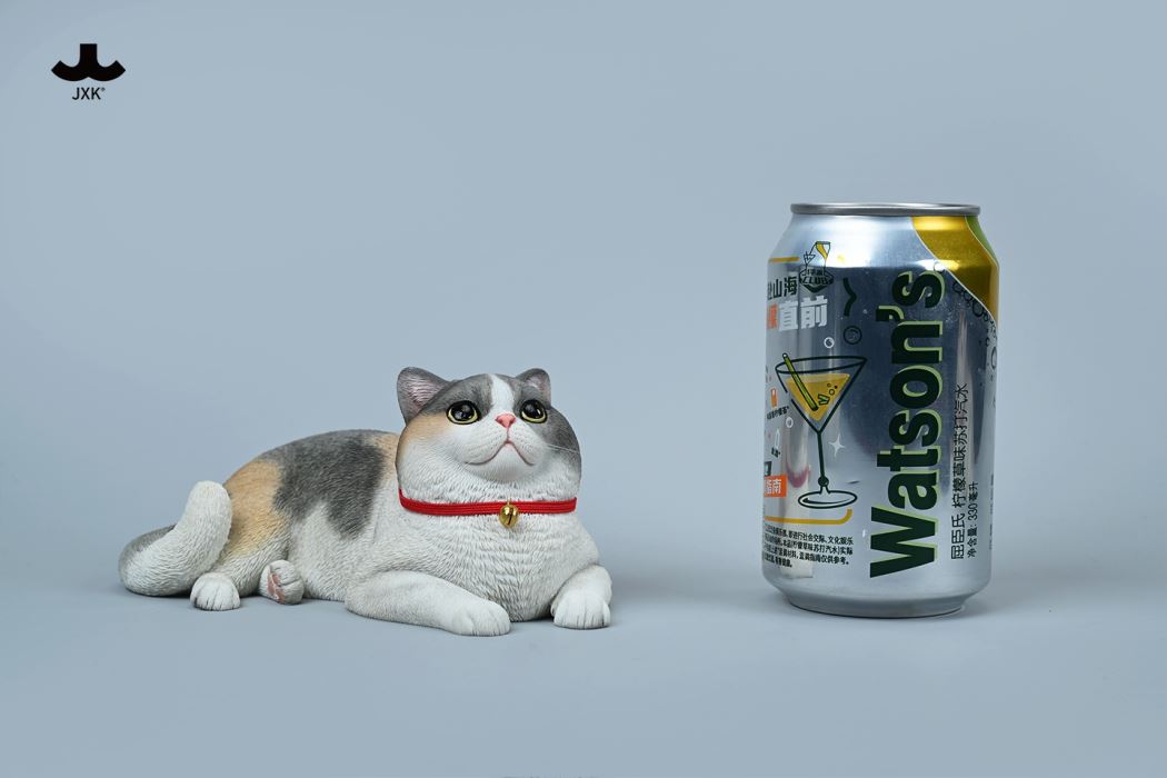 British Shorthair Cat 1/3