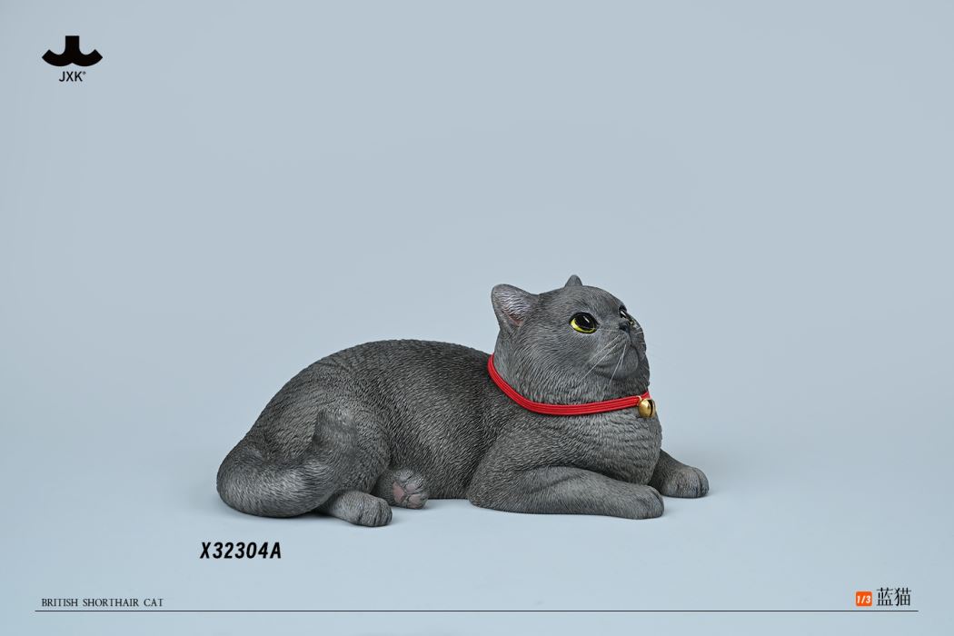 British Shorthair Cat 1/3