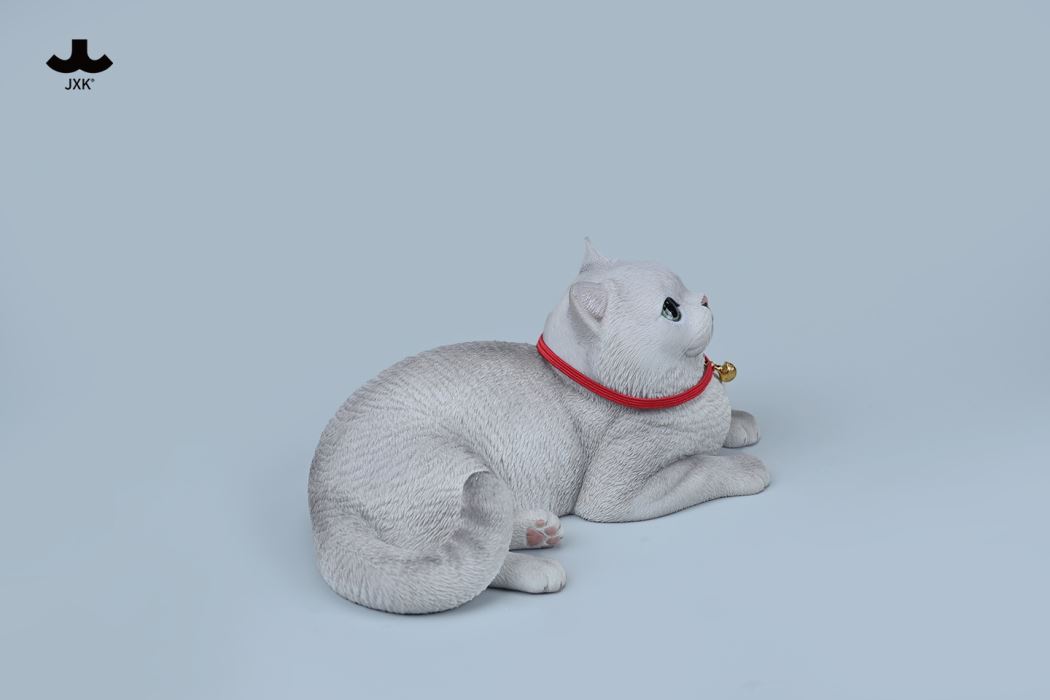 British Shorthair Cat 1/3