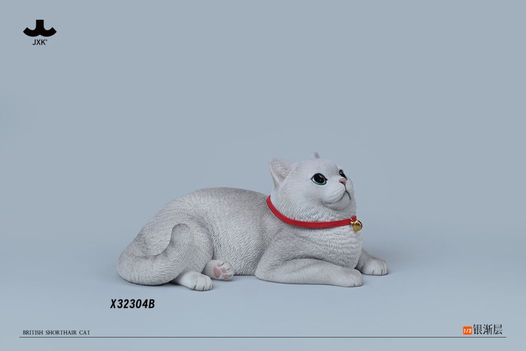 British Shorthair Cat 1/3