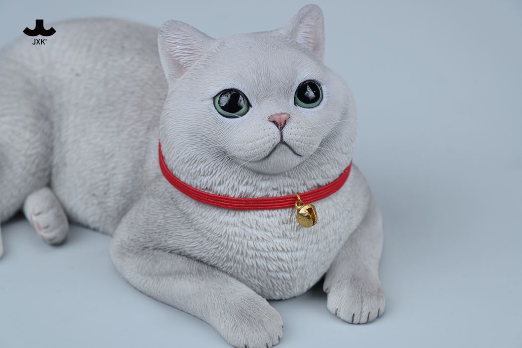 British Shorthair Cat 1/3