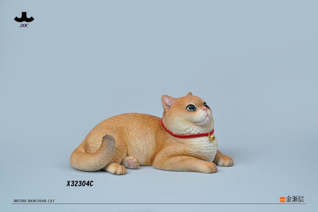 British Shorthair Cat 1/3