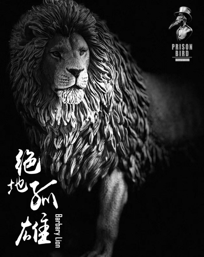 Barbary lion 1/6