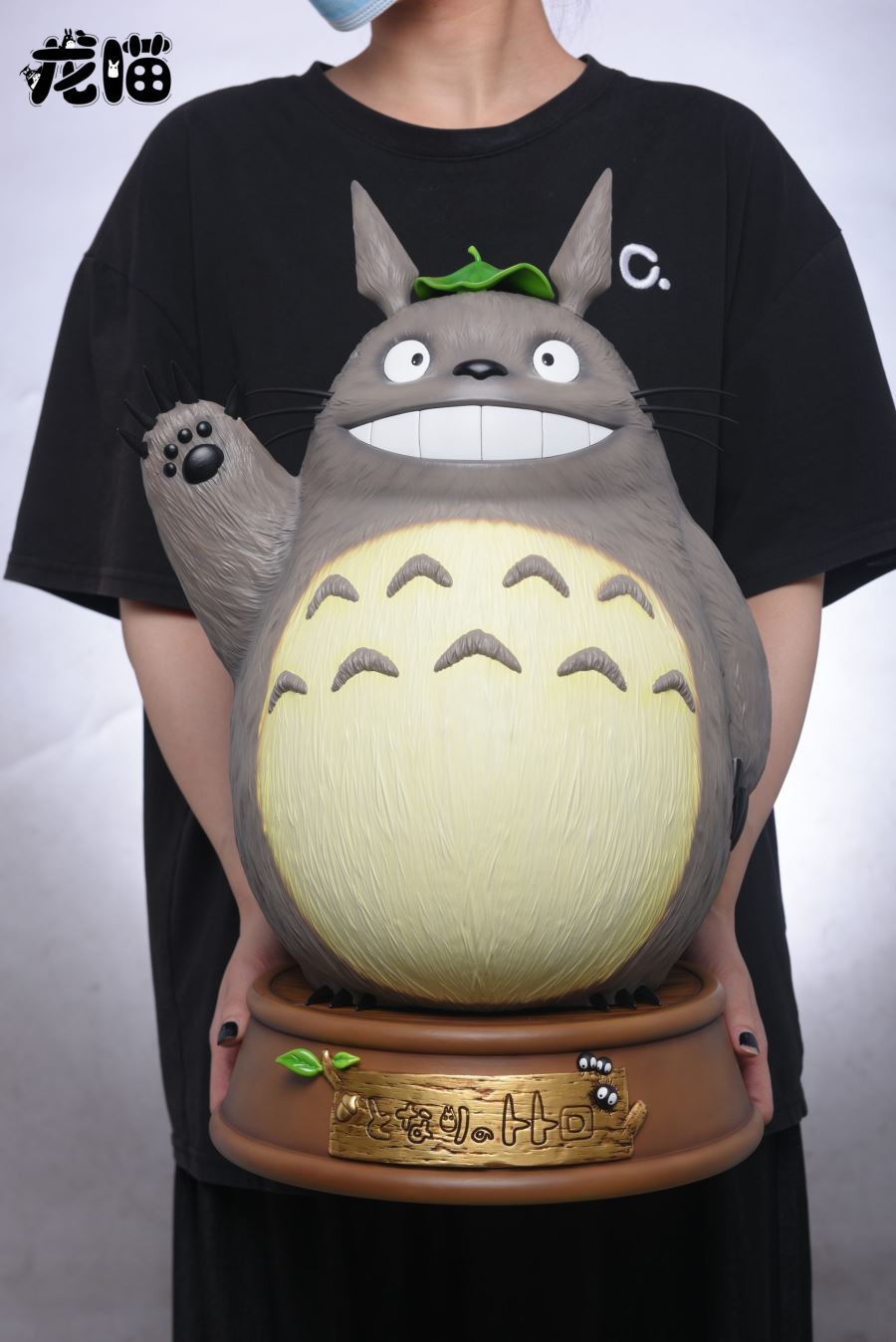 Hello Totoro - My Neighbour Totoro