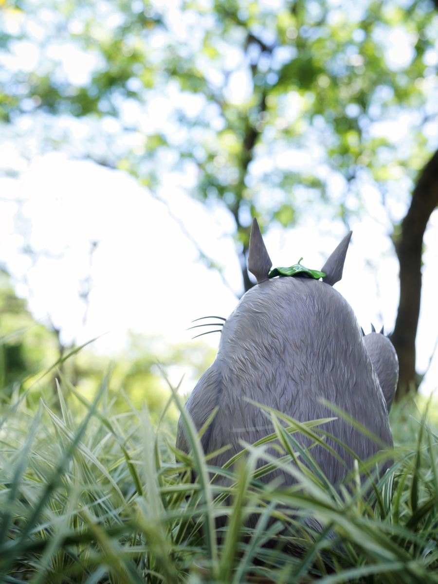 Hello Totoro - My Neighbour Totoro