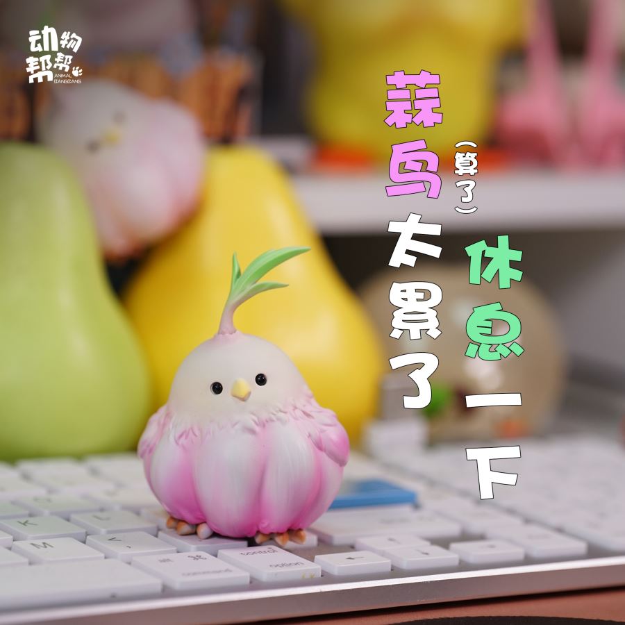 Original Farm Series Allium sativum Bird is not a big deal