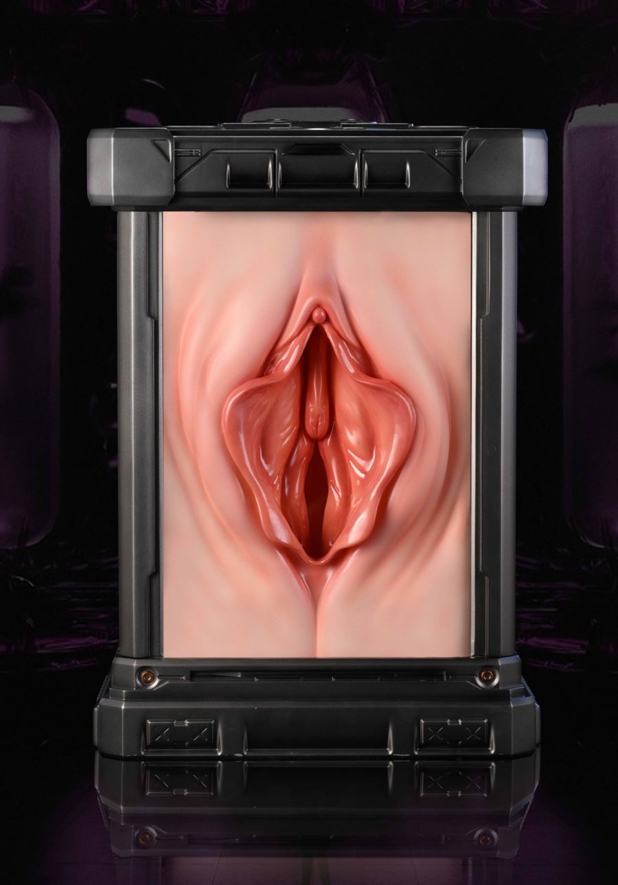 Shiranui Mizuki 2.0 - Taimanin Yukikaze 1/4