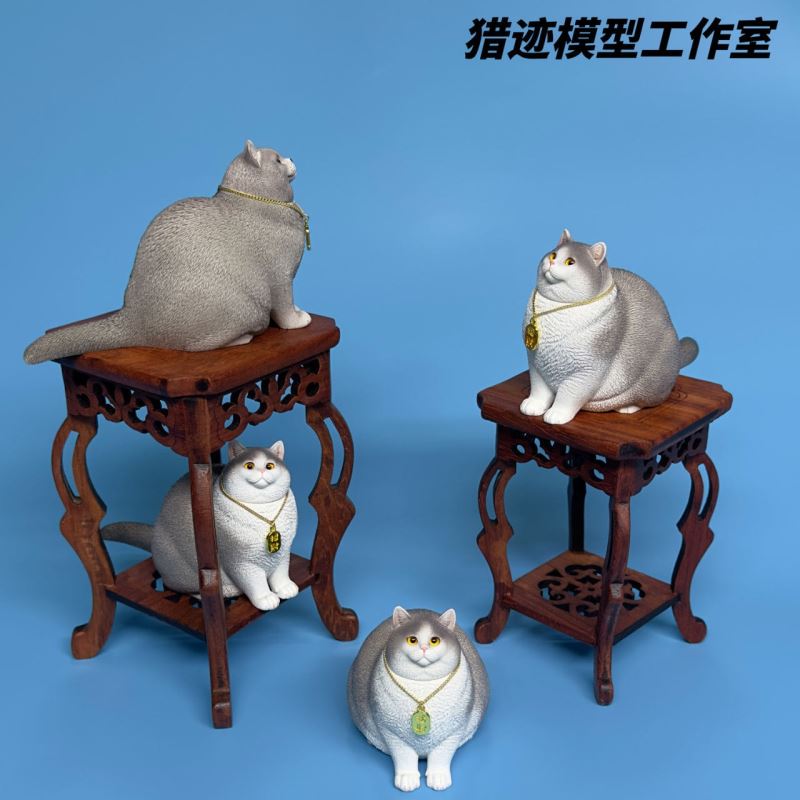 British Shorthair Blue Cat