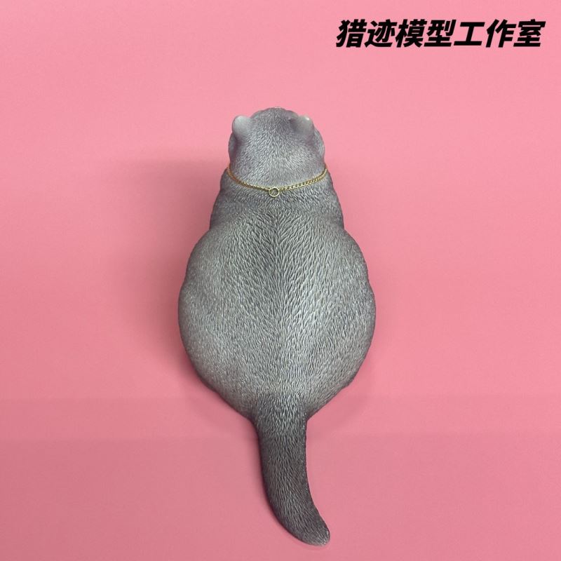 British Shorthair Blue Cat