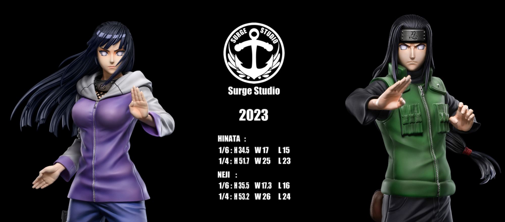 Hinata & Neji - Naruto