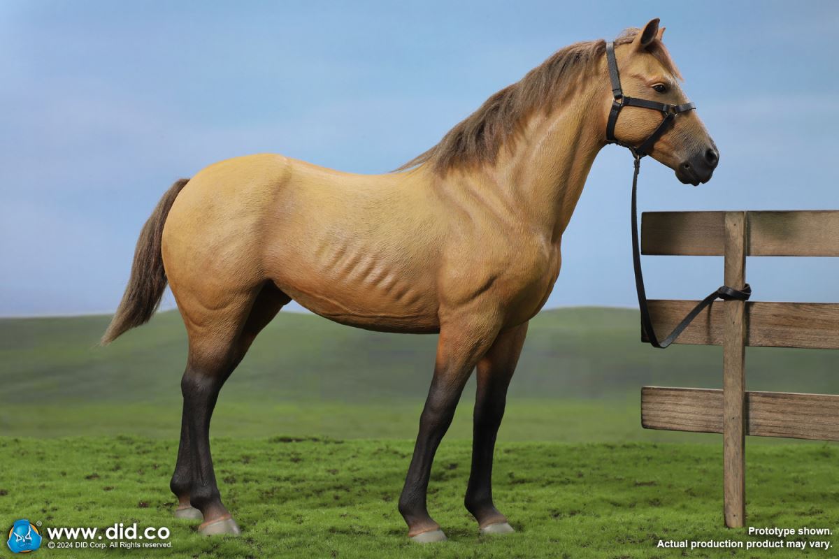 Civil War Brown Warhorse 1/6