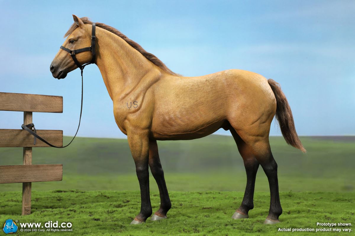 Civil War Brown Warhorse 1/6