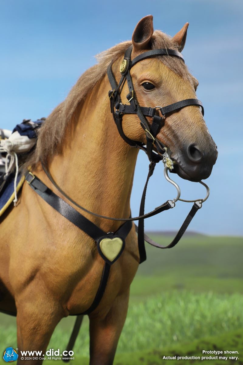 Civil War Brown Warhorse 1/6