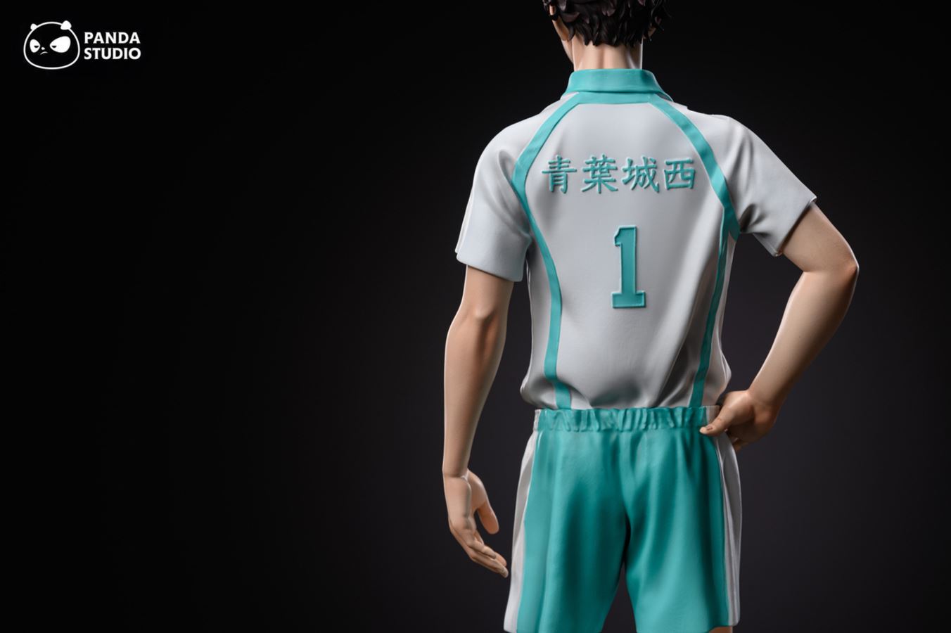 Oikawa Tooru 1/6