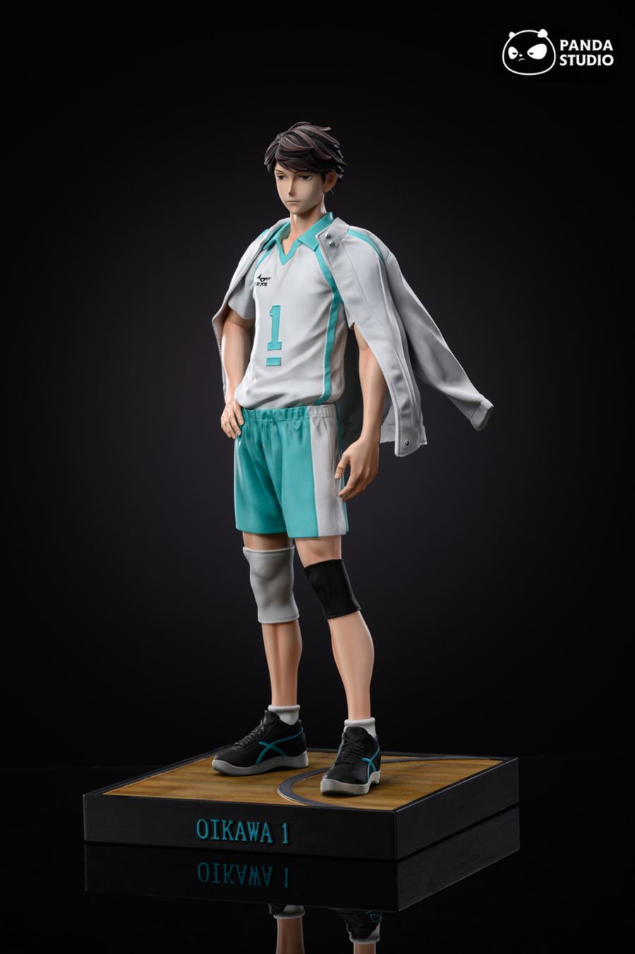 Oikawa Tooru 1/6